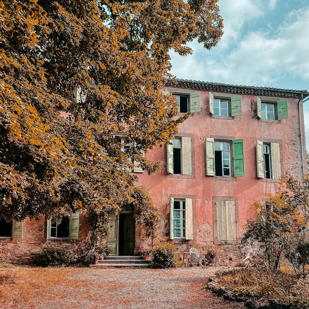 A charming house with a blush-pink façade and green shutters, nestled in the South of France. A tree stands gracefully in front, casting dappled shadows across the scene, all captured in soft, moody hues.