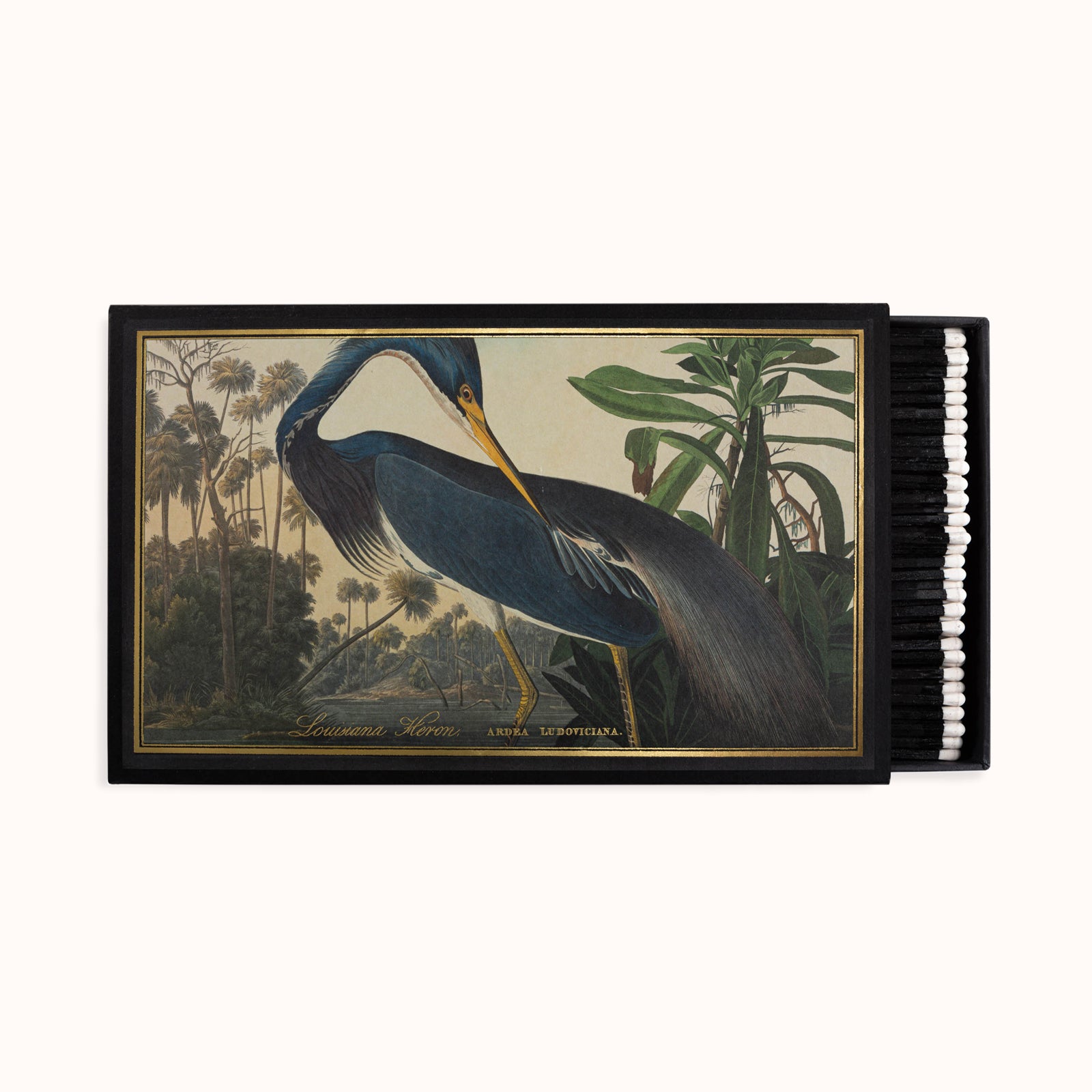 A large black matchbox featuring a detailed illustration of a Louisiana Heron by John J. Audubon from The Birds of America. Part of the Archivist Gallery Collection, available at Wildschut Antiques.