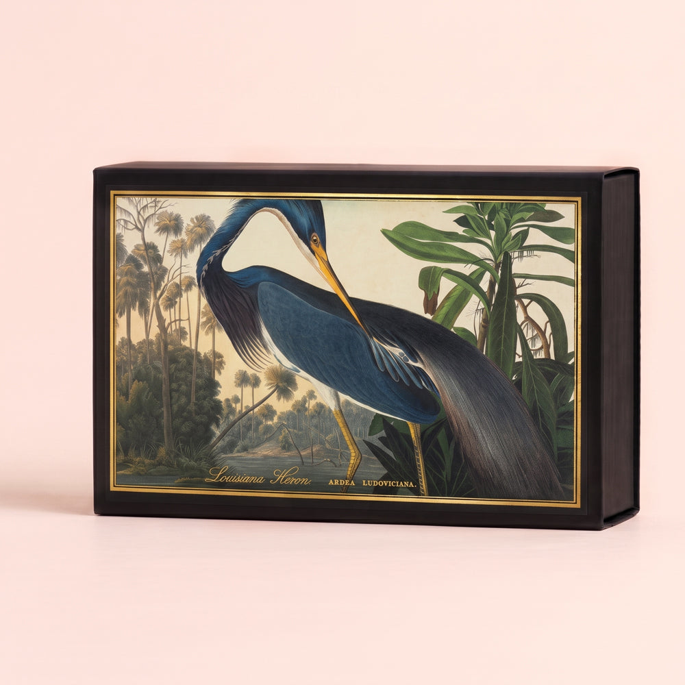 Archivist Gallery Louisiana Heron Giant Luxury Matchbox