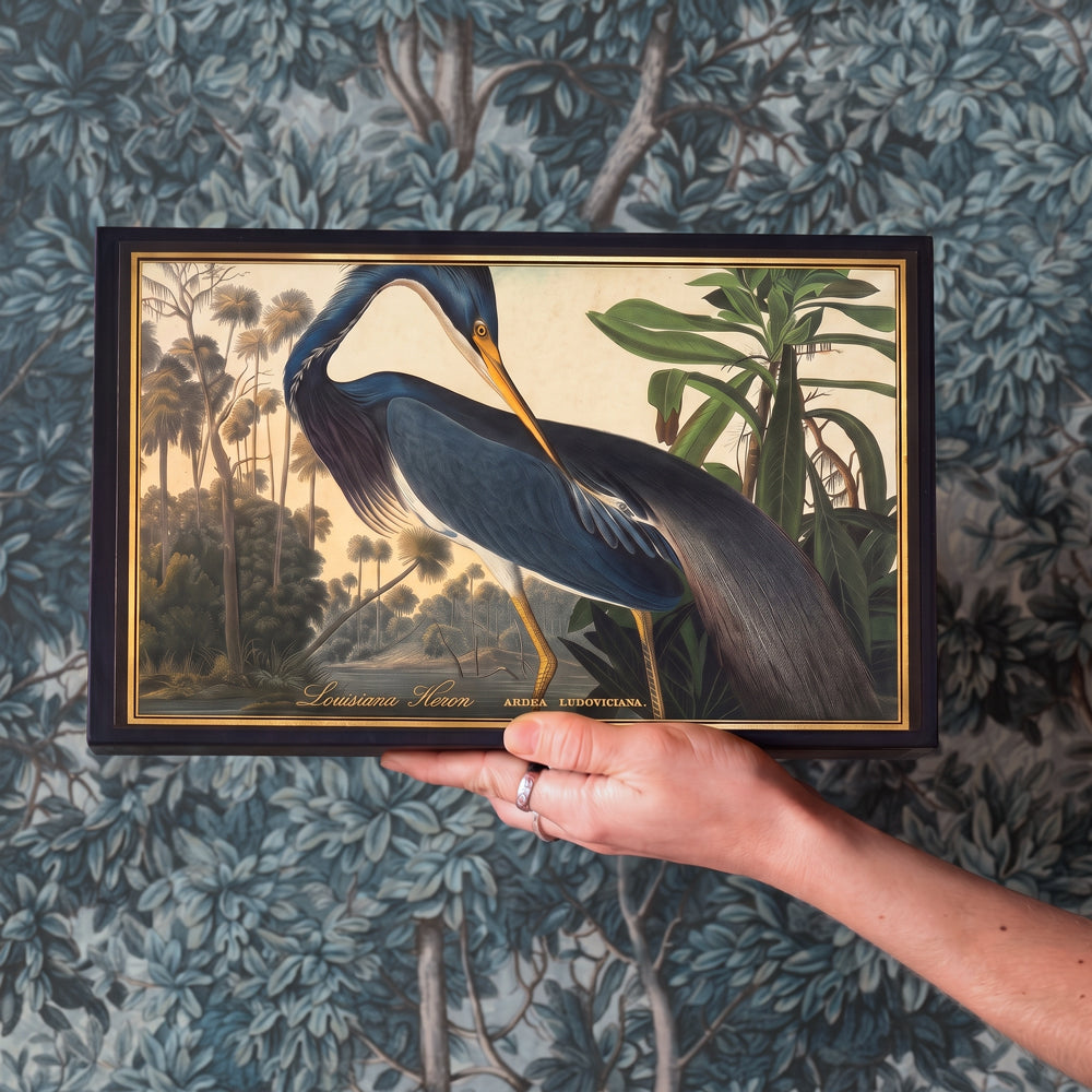 A hand holds a large matchbox with a vintage-style bird illustration against a blue patterned wallpaper background. The print on the matchbox shows a Louisiana Heron in dark blue and gray tones with a yellow beak, surrounded by tropical foliage.