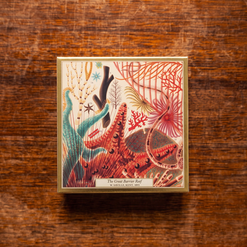 A square decorative matchbox featuring an illustrated undersea scene with coral, starfish, and sea plants, placed on a rustic brown wooden surface. The artwork includes red, pink, teal, cream, and dark brown tones, with the title 'The Coral Reef Bay' visible near the bottom.