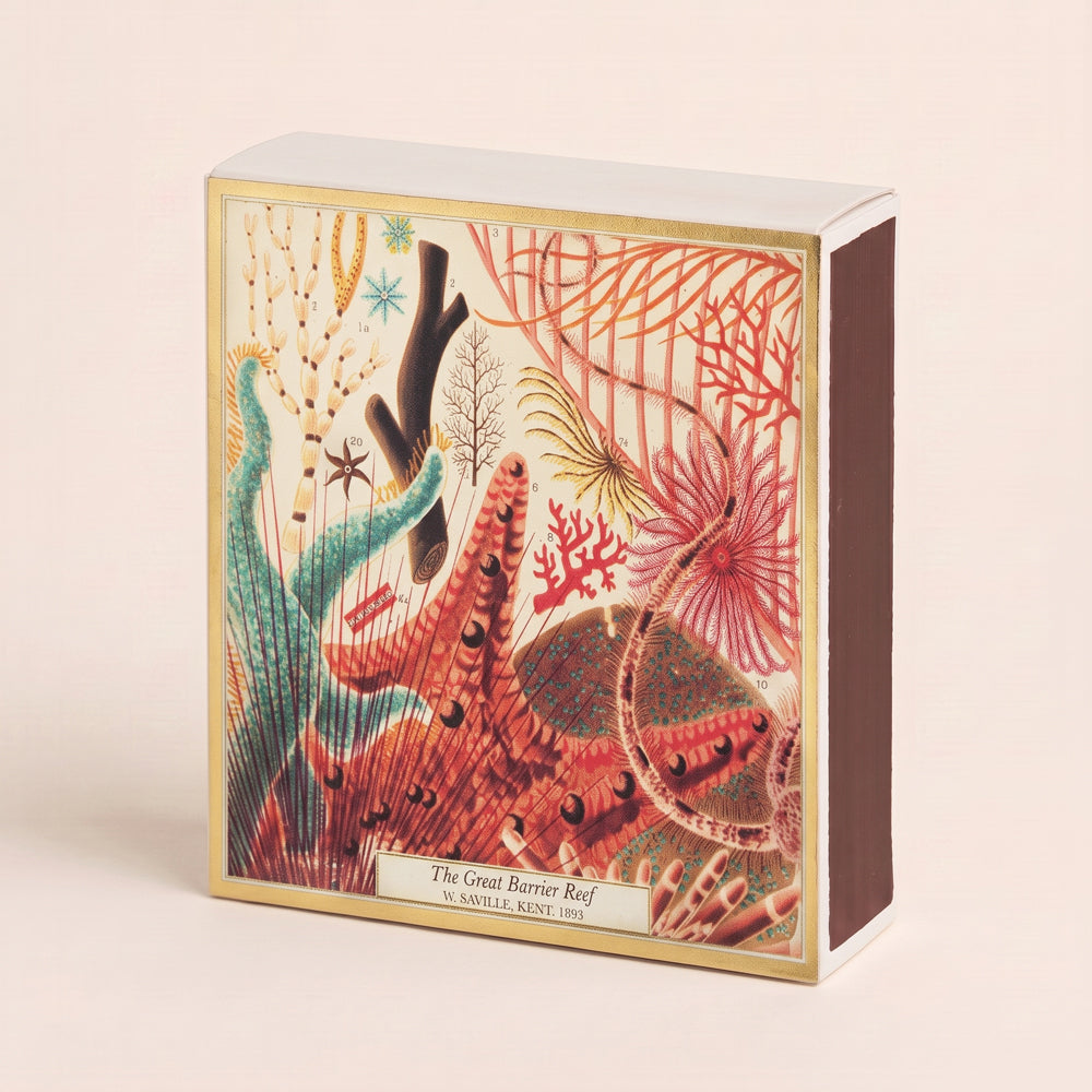 Archivist Gallery Great Barrier Reef Matchbox