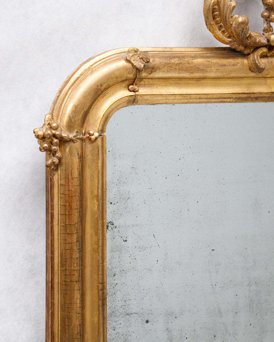 Close-up of a antique french gold ornate mirror on a white wall