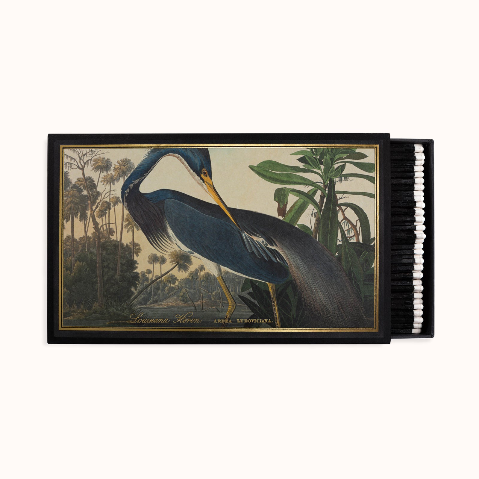 Archivist Gallery Louisiana Heron Giant Luxury Match Box