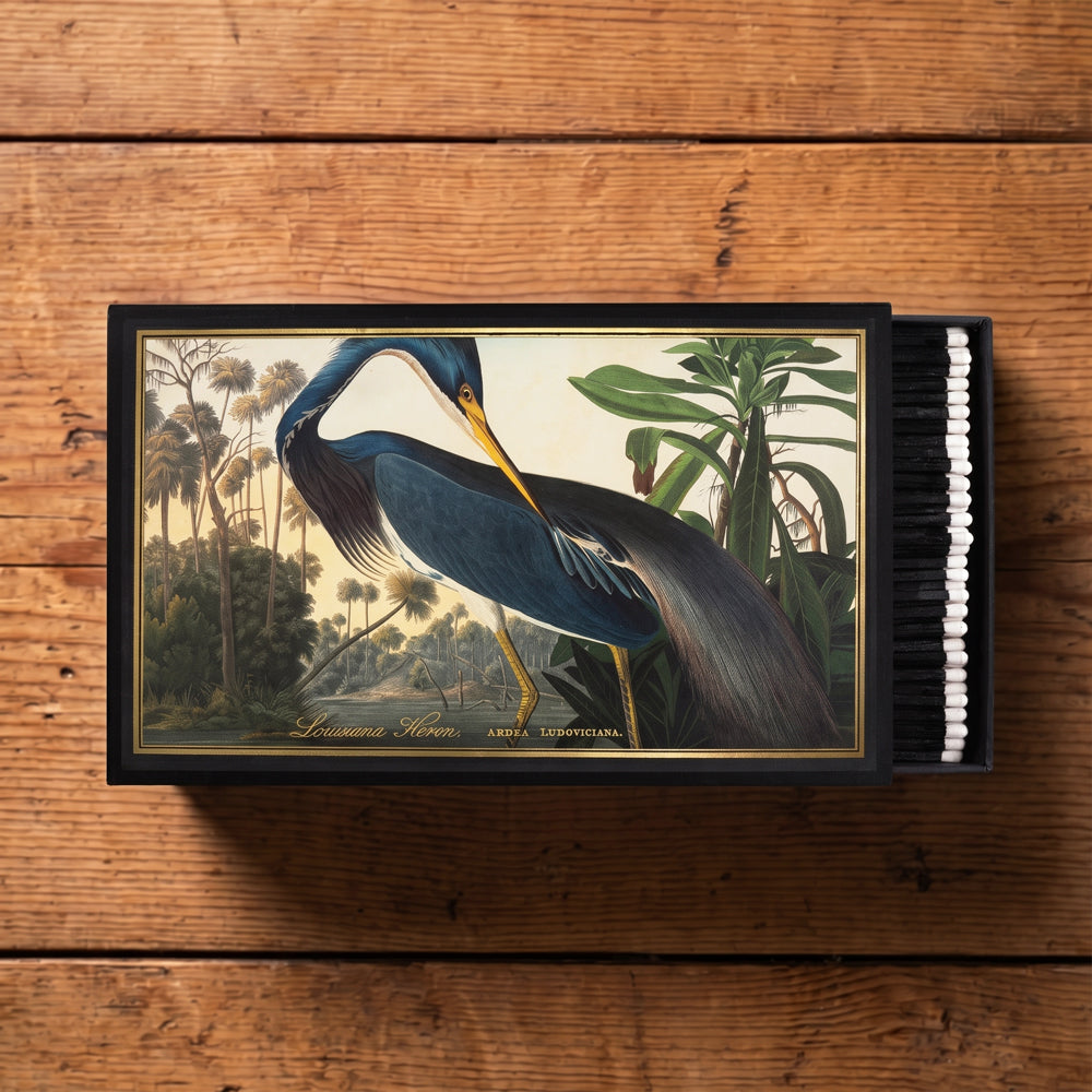 Archivist Gallery Louisiana Heron Giant Luxury Matchbox