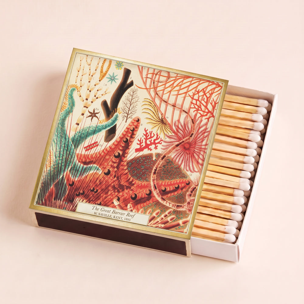 Archivist Gallery Great Barrier Reef Matchbox