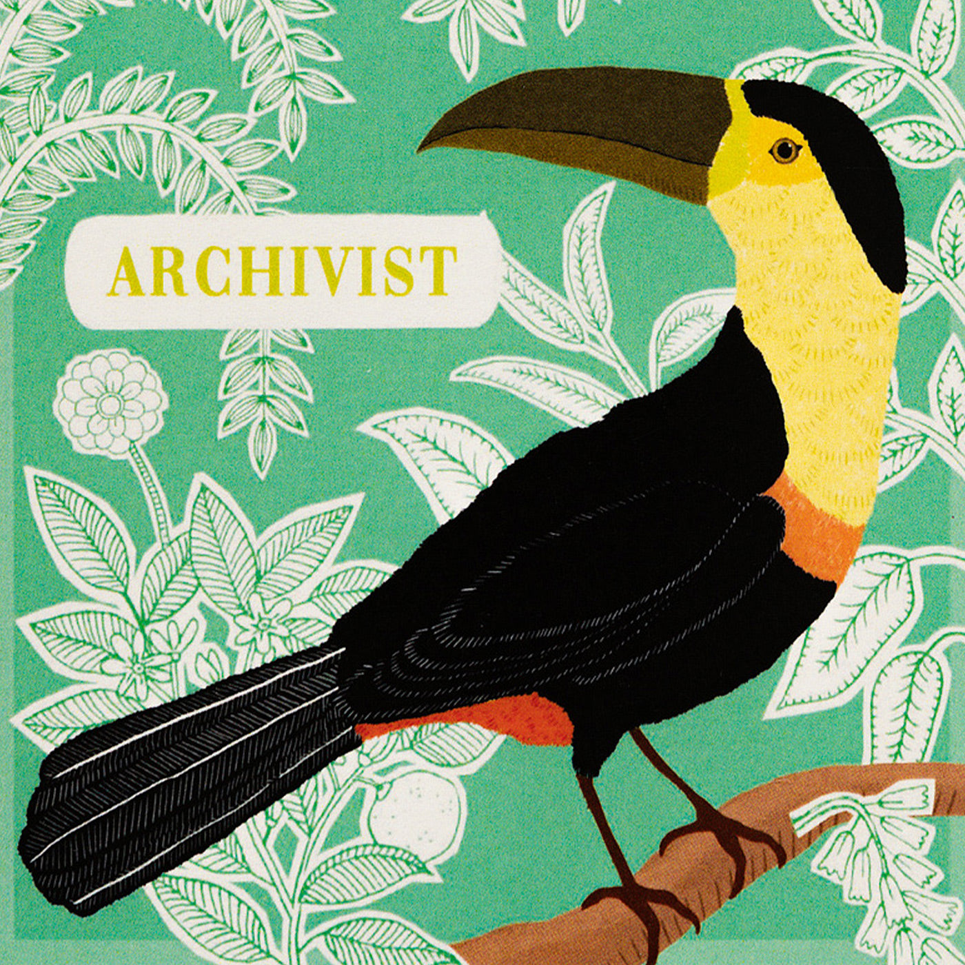 Archivist Gallery Toucan Matchbox