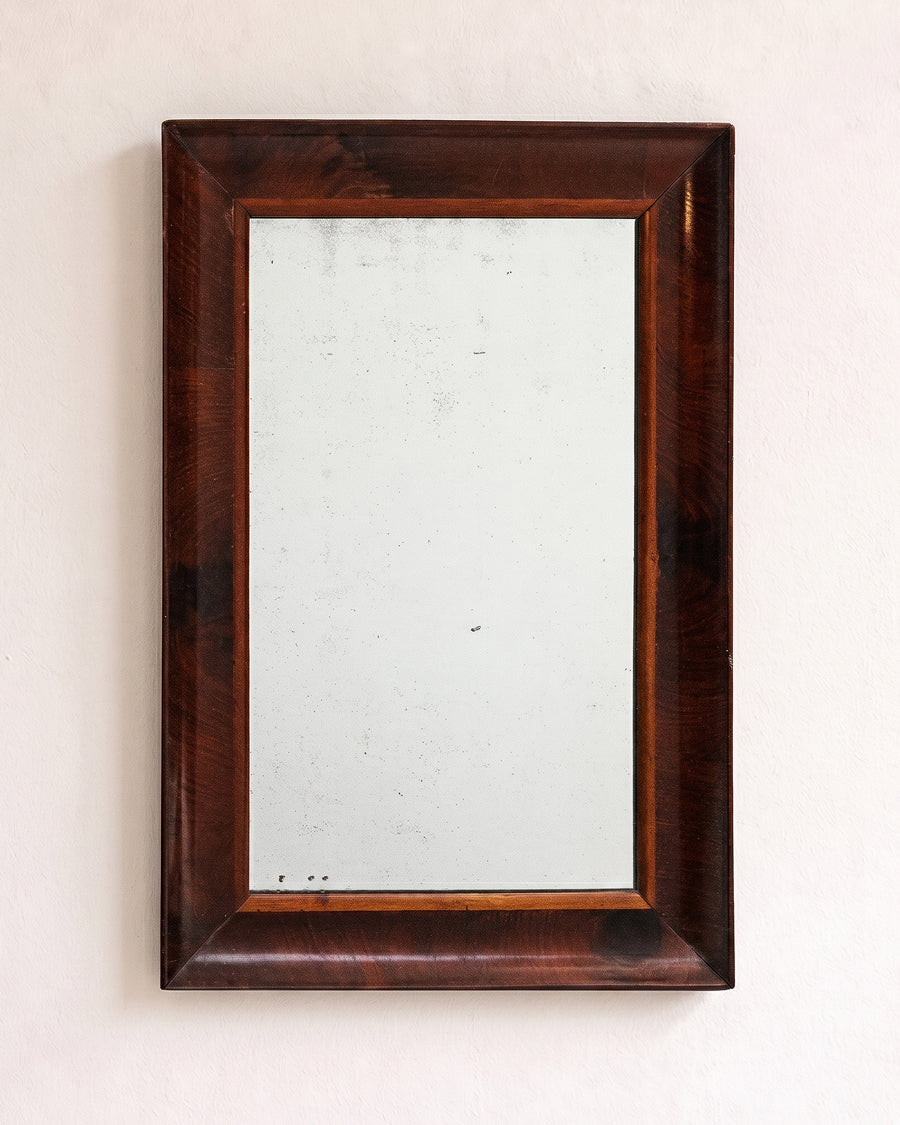 Late 19th C Small Mahogany Veneered Rectangular Mirror